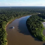 Desmatamento na Amazônia atinge menor índice em 17 anos, e Cerrado tem queda histórica