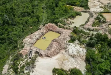 Amazônia registra avanço de facções criminosas na região