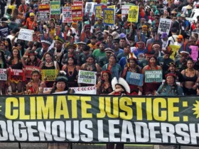 Indígenas marcham em Belém por avanços nas demarcações