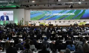 Oceanos precisam de mais financiamento na COP30