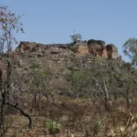 Agência Brasil lança série especial da seleção Nádia Franco sobre o Cerrado