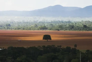 Governo cobra R$ 476 milhões de infratores ambientais na COP30