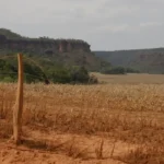 Cerrado: desigualdade no acesso ao Estado intensifica conflitos agrários
