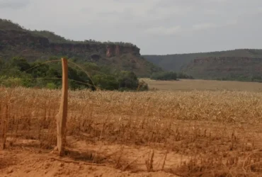 Cerrado: desigualdade no acesso ao Estado intensifica conflitos agrários