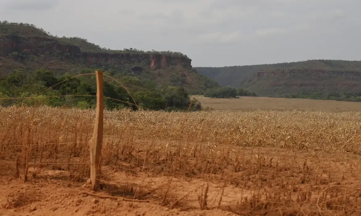 Cerrado: desigualdade no acesso ao Estado intensifica conflitos agrários