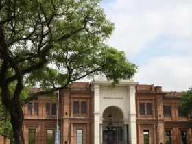 Pinacoteca celebra aniversários em São Paulo