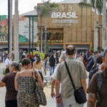 Sebrae reforça estratégia climática para micro e pequenas empresas