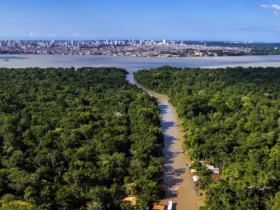 Turismo ganha novo patamar no Brasil após a COP30