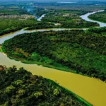 Pantanal perde 75% das áreas alagadas em 40 anos, revela relatório do MapBiomas