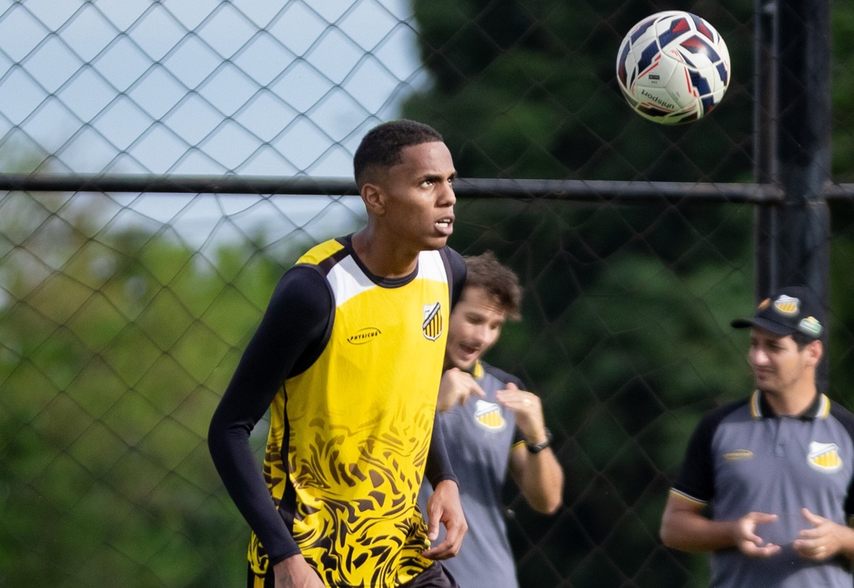 Goiás x Novorizontino: onde assistir, escalações e tudo sobre o duelo decisivo na Série B. Imagem: @basso.photo Novorizontino