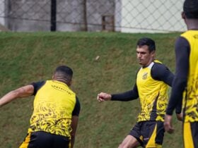 Novorizontino x CRB: onde assistir, escalações e clima para o último ato da Série B. Imagem: @basso.photo Novorizontino