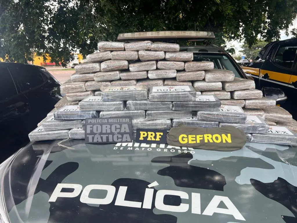 Apreensão de drogas em Nossa Senhora do Livramento