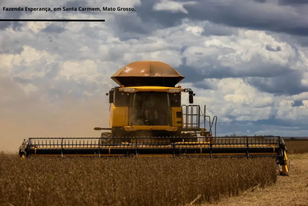 Agro em Santa Carmem