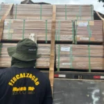 CGE e Indea avançam na certificação da madeira em MT