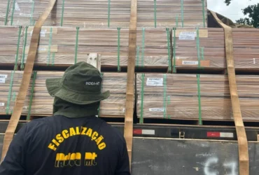 CGE e Indea avançam na certificação da madeira em MT