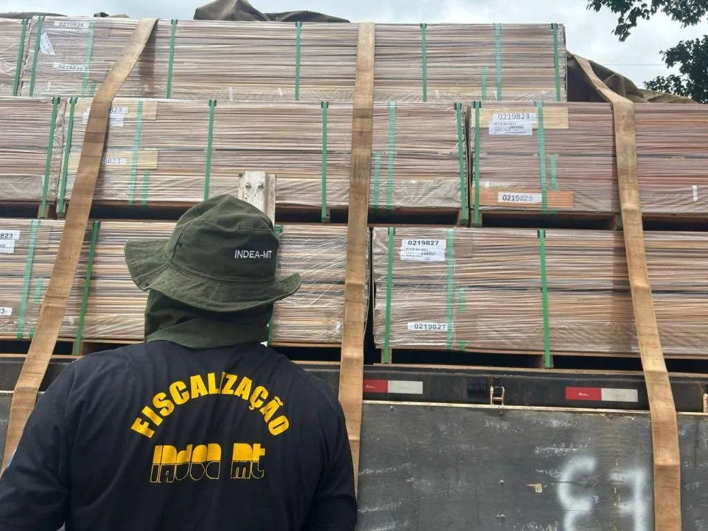 CGE e Indea avançam na certificação da madeira em MT