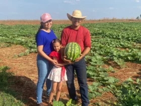 Agricultura familiar em Bom Jesus do Araguaia avança com apoio técnico