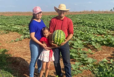 Agricultura familiar em Bom Jesus do Araguaia avança com apoio técnico