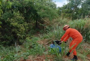 Corpo de Bombeiros resgata caninana em residência