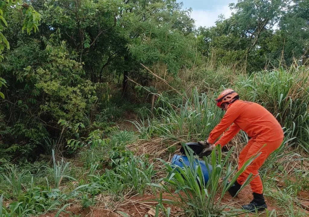 Corpo de Bombeiros resgata caninana em residência