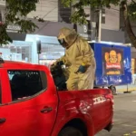 Bombeiros removem enxame de abelhas em Primavera do Leste