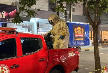Bombeiros removem enxame de abelhas em Primavera do Leste