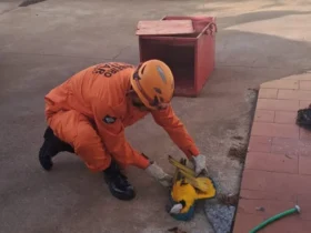Resgate de arara-canindé mobiliza bombeiros em Campo Verde