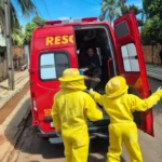 Homem é resgatado após ataque de abelhas em Sinop