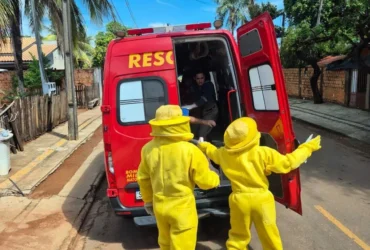 Homem é resgatado após ataque de abelhas em Sinop