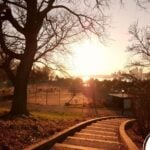 Domingo - previsão para os signos