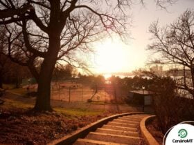 Domingo - previsão para os signos