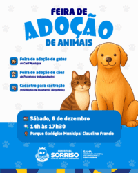 Feira de adoção de pets em Sorriso marca encerramento de 2025