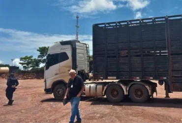 Fiscalização flagra uso de GTA falsa em Guarantã do Norte