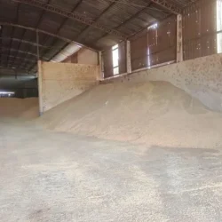 Força Tática prende suspeito por furto de grãos em MT