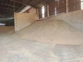 Força Tática prende suspeito por furto de grãos em MT