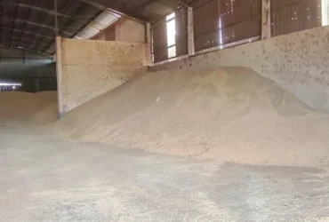 Força Tática prende suspeito por furto de grãos em MT