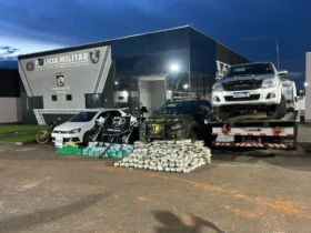 Apreensão de drogas em Pontes e Lacerda soma 376 kg