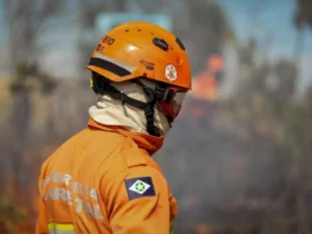 Governo divulga balanço de incêndios com foco em balanço de incêndios florestais