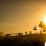 Horóscopo de Amanhã