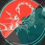 Horósocpo do dia - Câncer