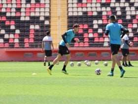 Botafogo-SP x Avaí: onde assistir e prováveis escalações na última rodada da Série B 2025. Imagem: João Victor Cristovão Agência Botafogo