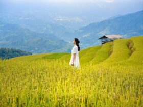 Lua crescente sobre horizonte urbano