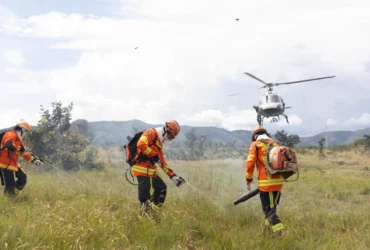 Mato Grosso registra queda recorde de focos de calor em 2025