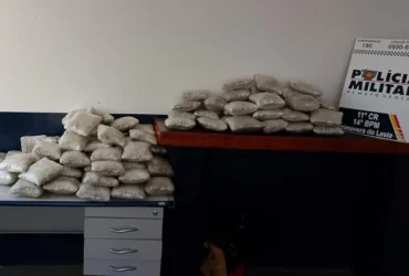 Apreensão de skunk gera prejuízo milionário às facções