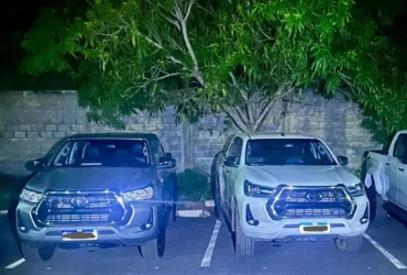 PM apreende cegonha com duas caminhonetes adulteradas em MT