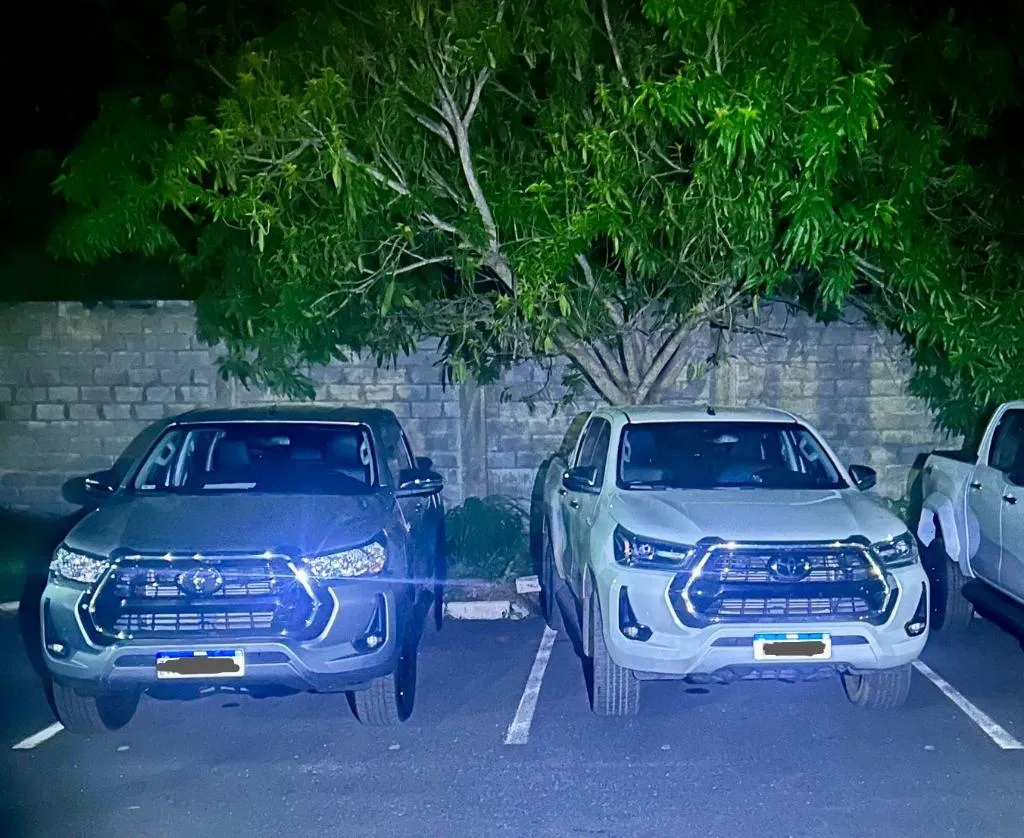 PM apreende cegonha com duas caminhonetes adulteradas em MT