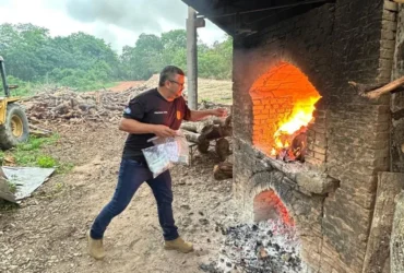 Polícia Civil incinera 14 kg de drogas em Barra do Garças