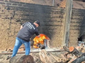 PC realiza incineração de entorpecentes em Alto Boa Vista