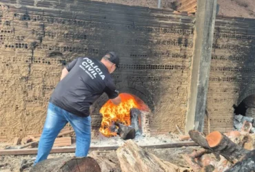 PC realiza incineração de entorpecentes em Alto Boa Vista