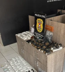 Polícia Civil prende mulher em ação na Primaverinha